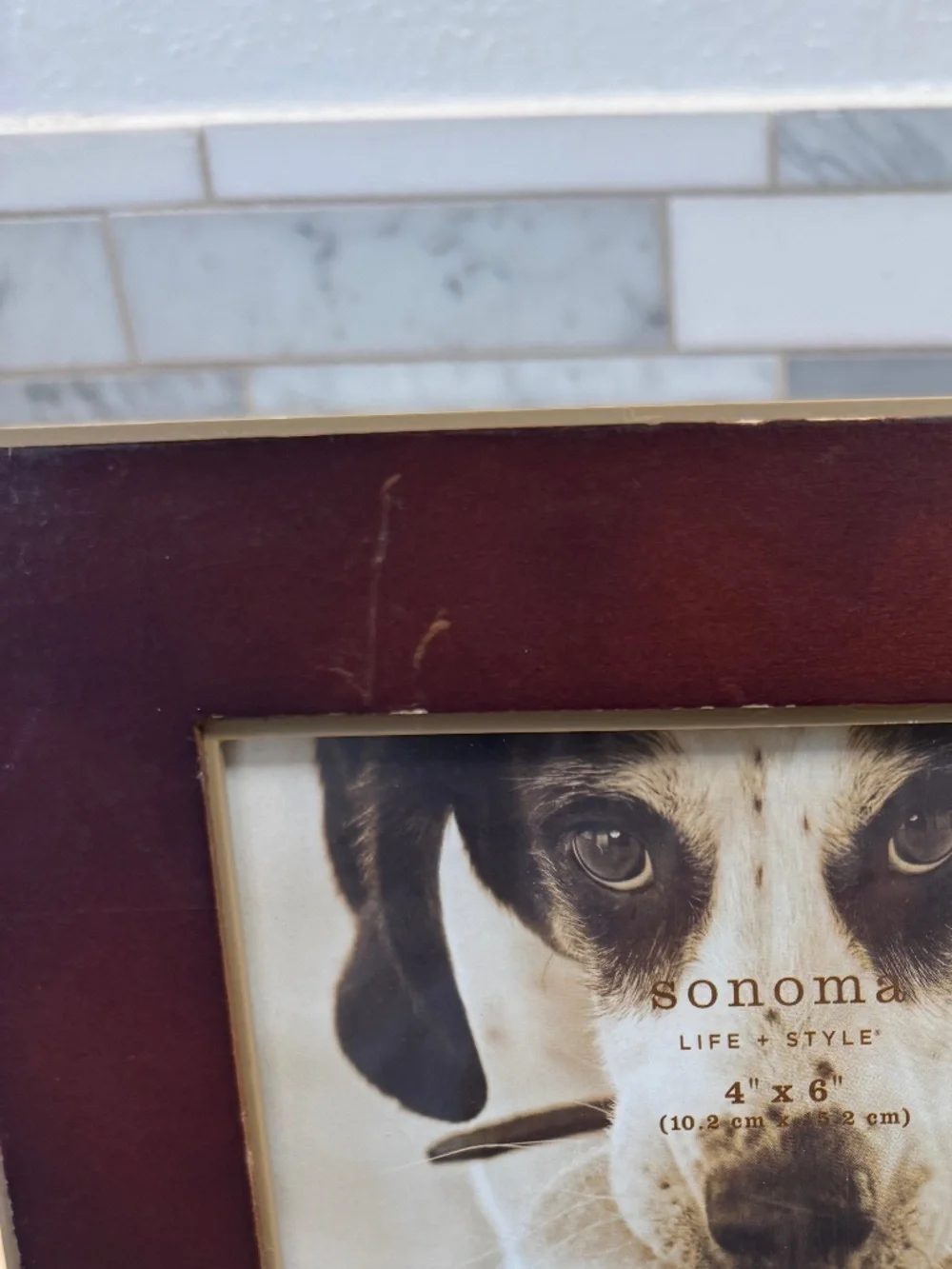 A Sonoma Life & Style brown wood picture frame with dog bone and bow wow wow